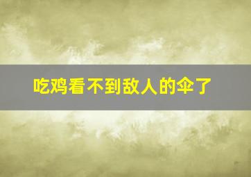 吃鸡看不到敌人的伞了