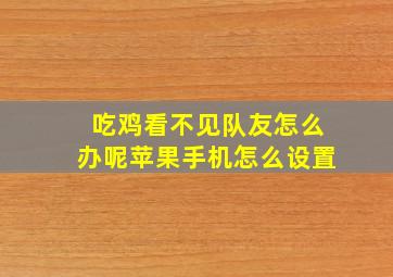 吃鸡看不见队友怎么办呢苹果手机怎么设置