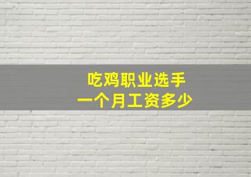 吃鸡职业选手一个月工资多少