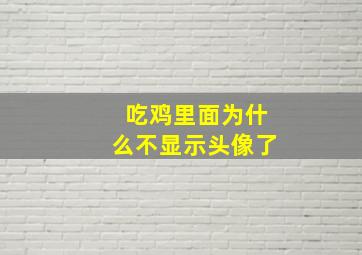 吃鸡里面为什么不显示头像了