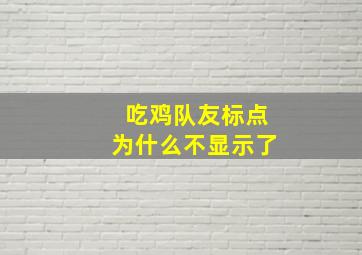 吃鸡队友标点为什么不显示了