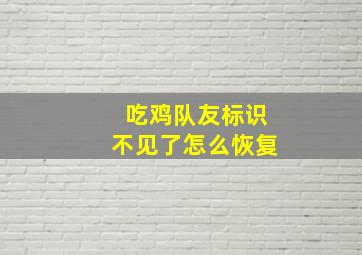 吃鸡队友标识不见了怎么恢复