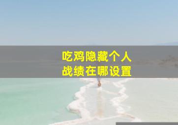 吃鸡隐藏个人战绩在哪设置