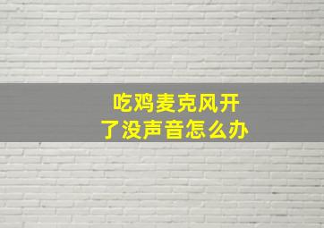 吃鸡麦克风开了没声音怎么办