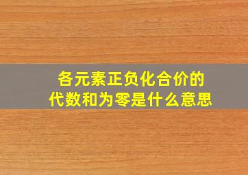 各元素正负化合价的代数和为零是什么意思