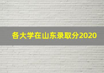 各大学在山东录取分2020