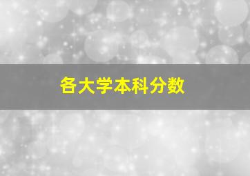 各大学本科分数