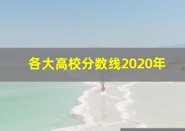 各大高校分数线2020年