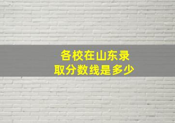 各校在山东录取分数线是多少