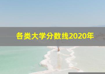 各类大学分数线2020年