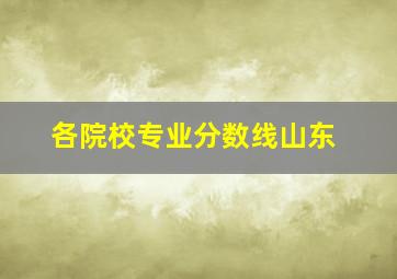 各院校专业分数线山东