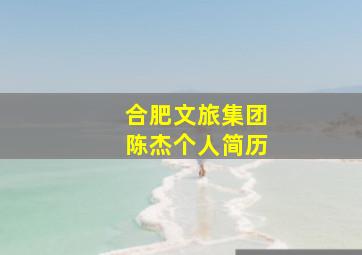 合肥文旅集团陈杰个人简历