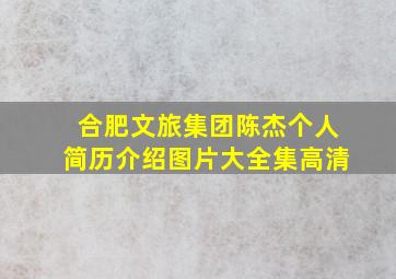 合肥文旅集团陈杰个人简历介绍图片大全集高清