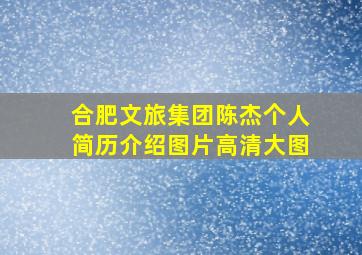 合肥文旅集团陈杰个人简历介绍图片高清大图