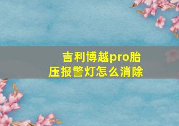 吉利博越pro胎压报警灯怎么消除