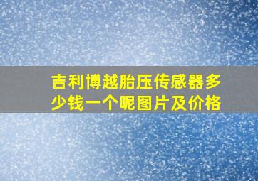 吉利博越胎压传感器多少钱一个呢图片及价格