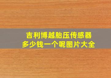 吉利博越胎压传感器多少钱一个呢图片大全