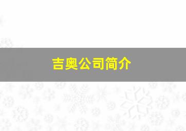 吉奥公司简介