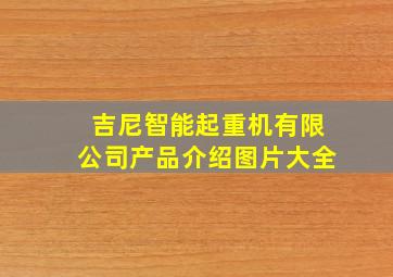 吉尼智能起重机有限公司产品介绍图片大全