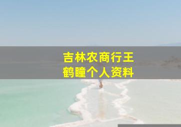 吉林农商行王鹤瞳个人资料