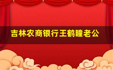 吉林农商银行王鹤瞳老公