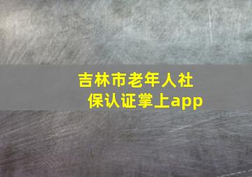 吉林市老年人社保认证掌上app