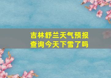 吉林舒兰天气预报查询今天下雪了吗