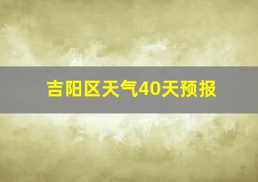 吉阳区天气40天预报