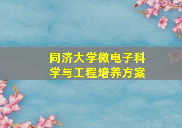 同济大学微电子科学与工程培养方案