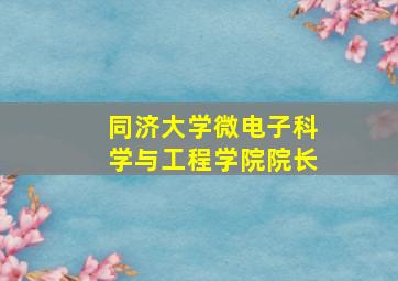 同济大学微电子科学与工程学院院长