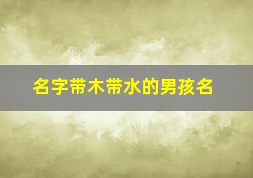 名字带木带水的男孩名