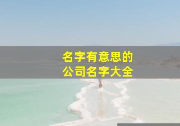 名字有意思的公司名字大全