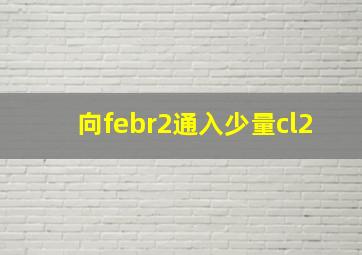 向febr2通入少量cl2