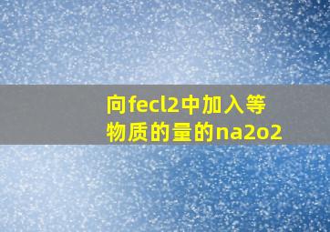 向fecl2中加入等物质的量的na2o2