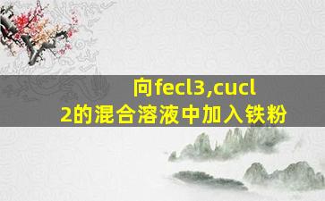 向fecl3,cucl2的混合溶液中加入铁粉