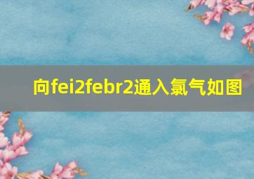 向fei2febr2通入氯气如图