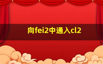 向fei2中通入cl2