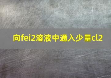 向fei2溶液中通入少量cl2