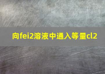 向fei2溶液中通入等量cl2