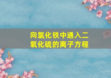 向氯化铁中通入二氧化硫的离子方程