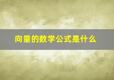 向量的数学公式是什么