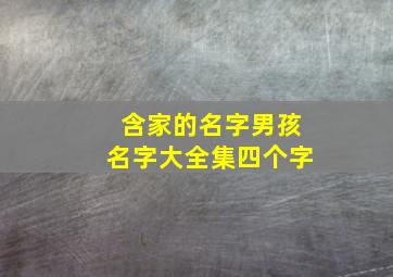 含家的名字男孩名字大全集四个字