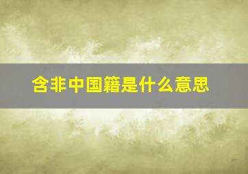 含非中国籍是什么意思