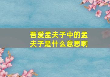 吾爱孟夫子中的孟夫子是什么意思啊