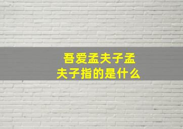 吾爱孟夫子孟夫子指的是什么