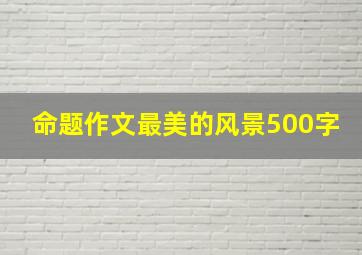 命题作文最美的风景500字