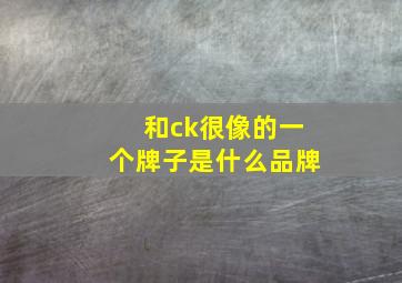 和ck很像的一个牌子是什么品牌