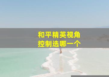 和平精英视角控制选哪一个