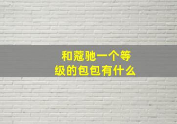 和蔻驰一个等级的包包有什么