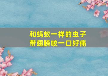 和蚂蚁一样的虫子带翅膀咬一口好痛